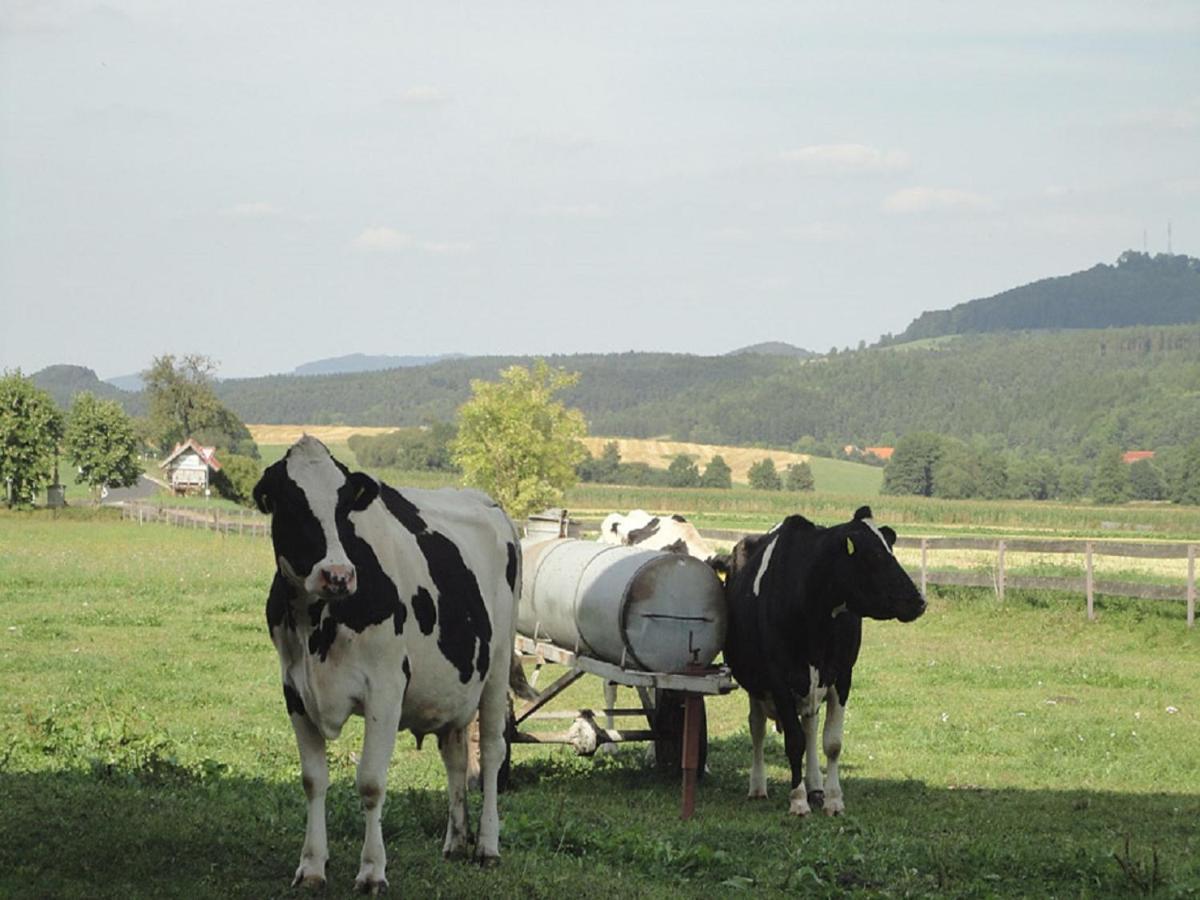 Monteurwohnungen Goeb - Nicht Fuer Urlaubsgaeste Geisa Exteriör bild